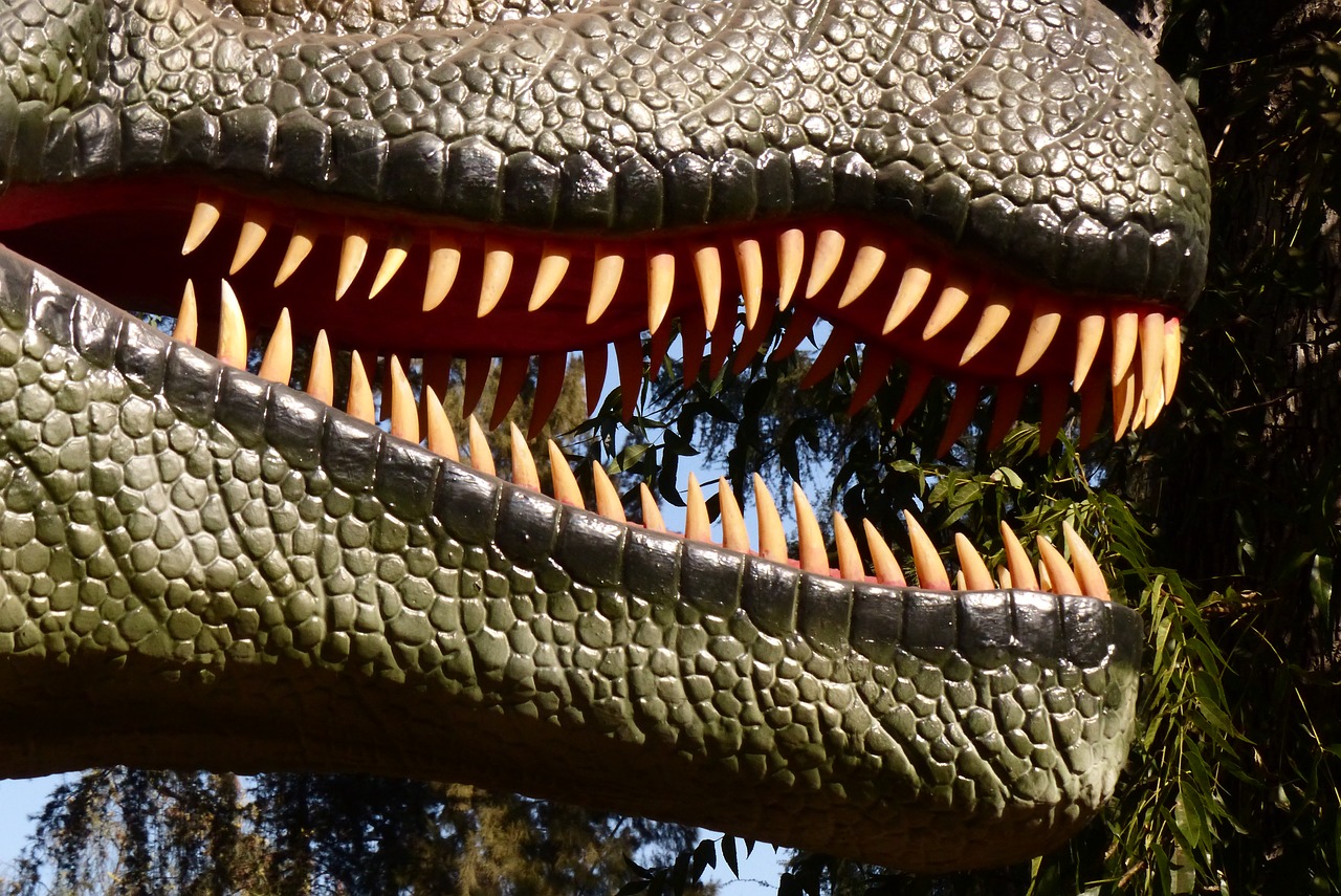 dinosaur teeth teeth reptile free photo