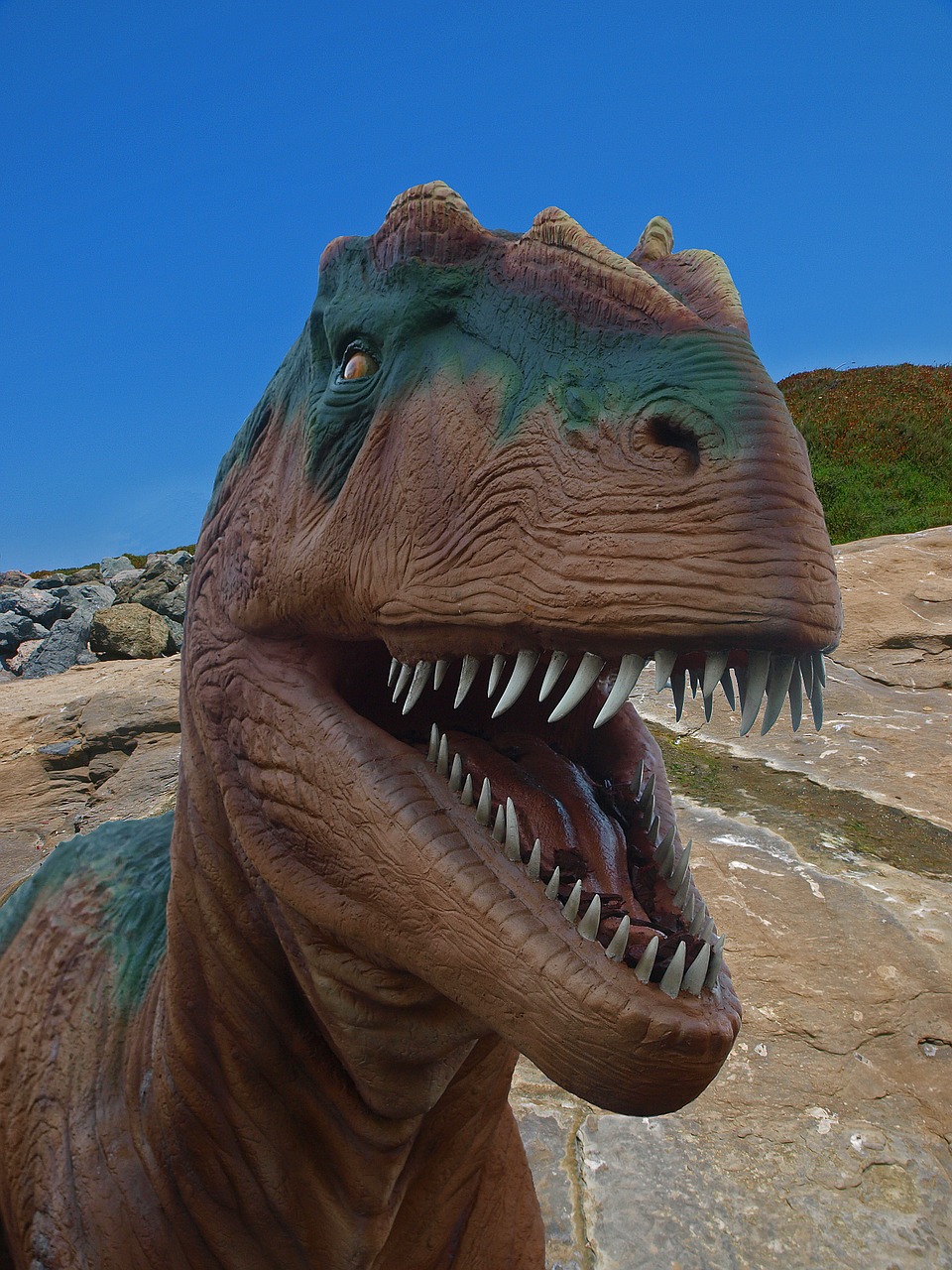 dinosaurs jurassic t-rex free photo
