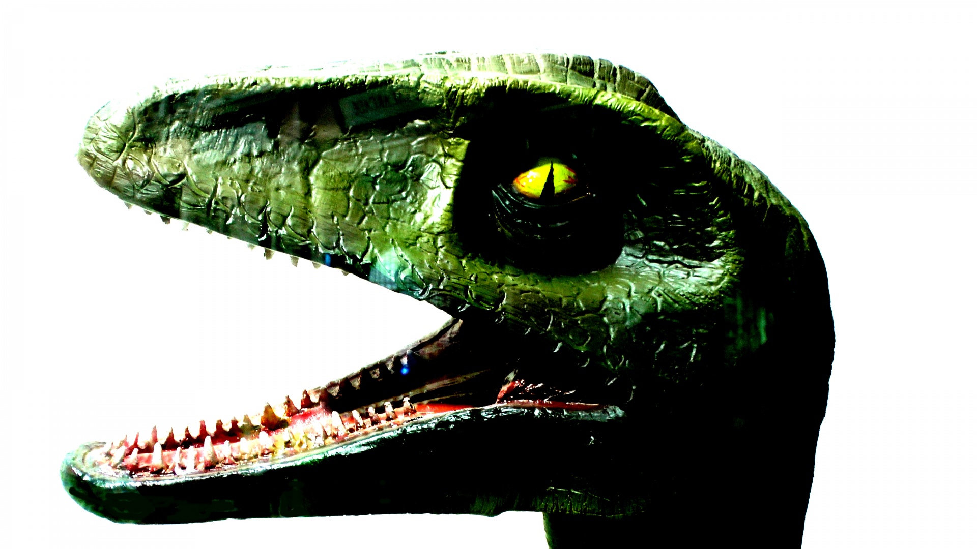 dinosaur dinosaurs head free photo