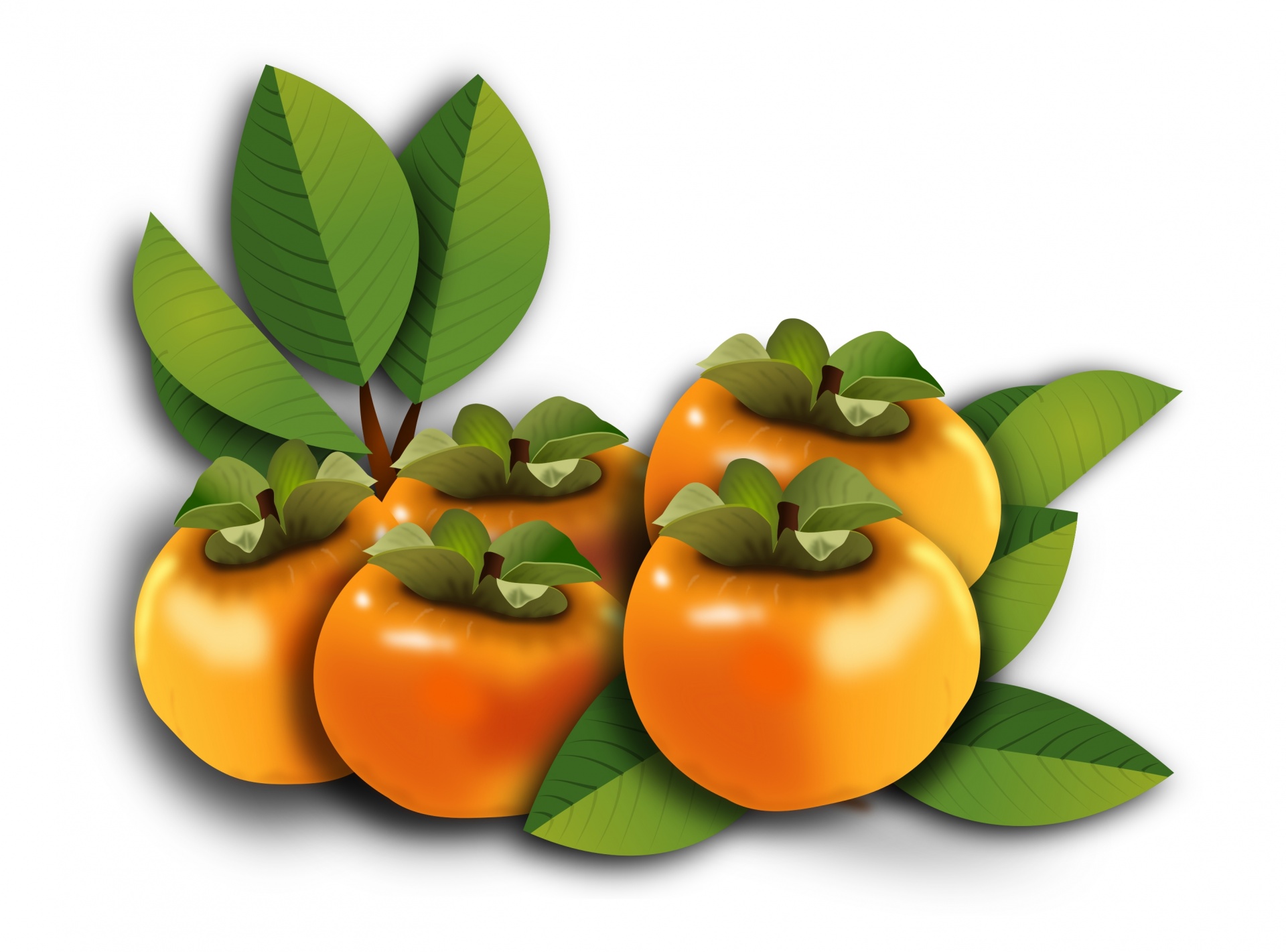 persimmons fruit fruits free photo