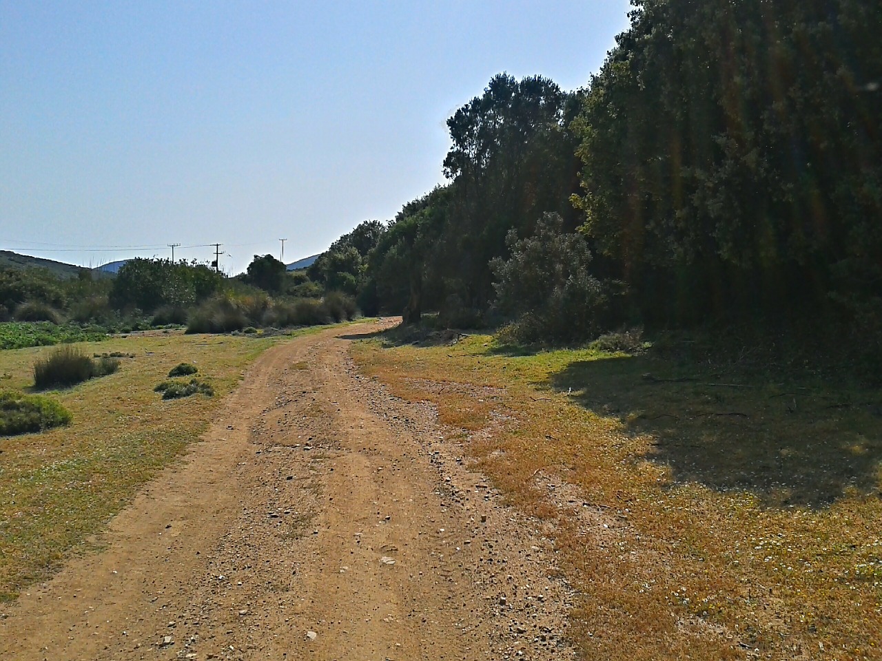 dirt road gravel road free photo