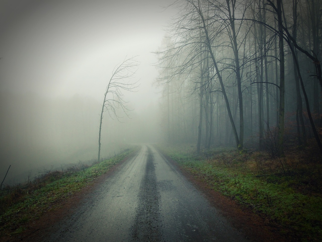 dirt road fog free photo