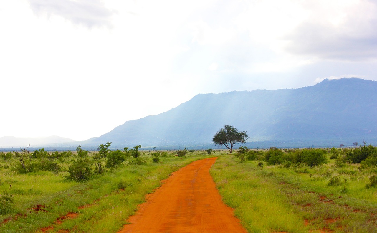 dirt road landscape free photo