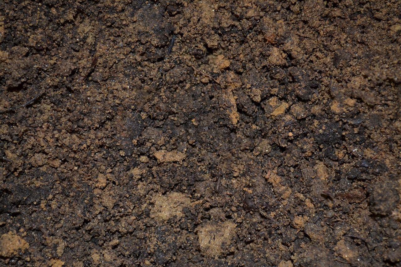 dirt soil potting free photo
