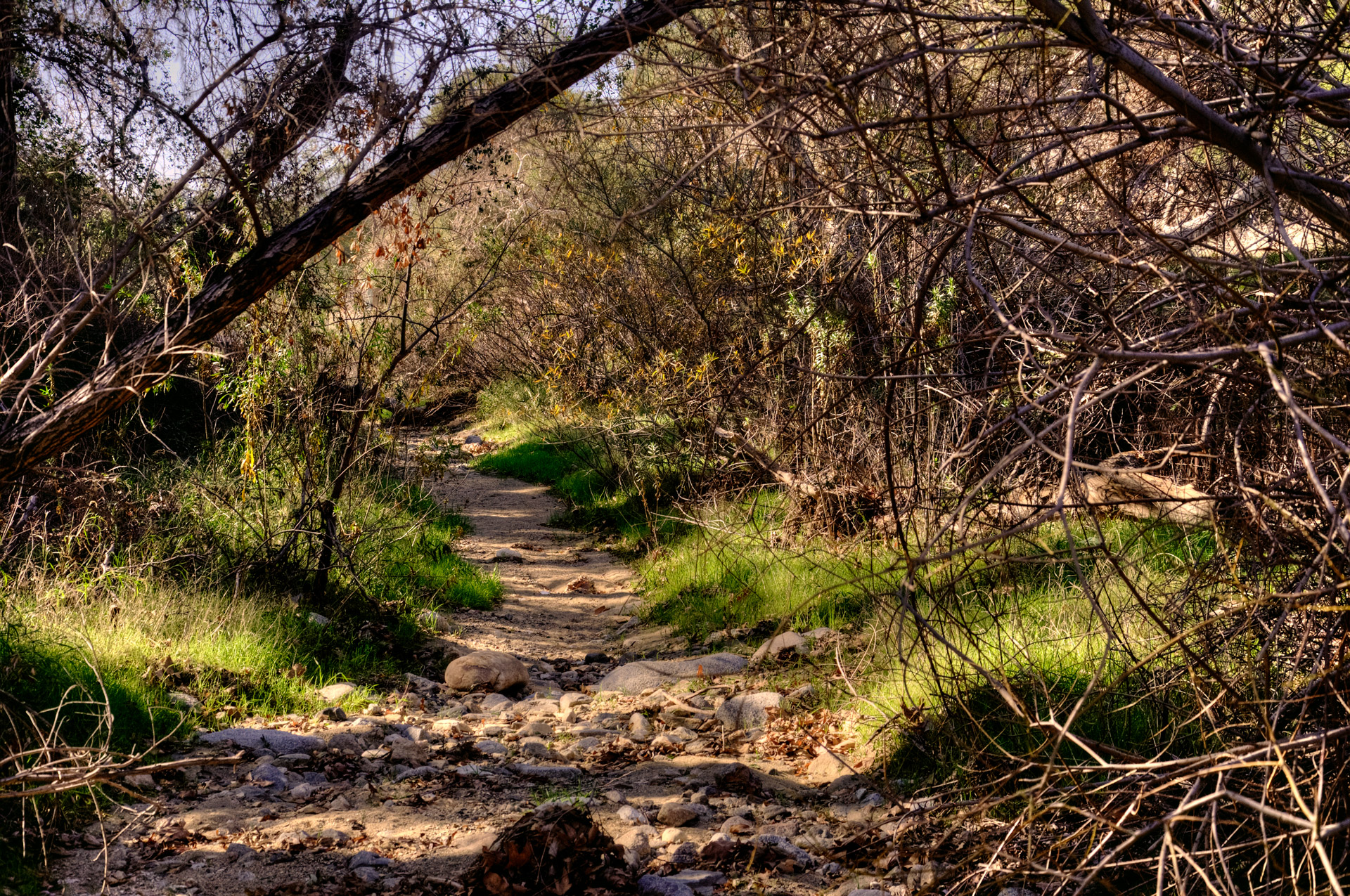 path dirt rural free photo