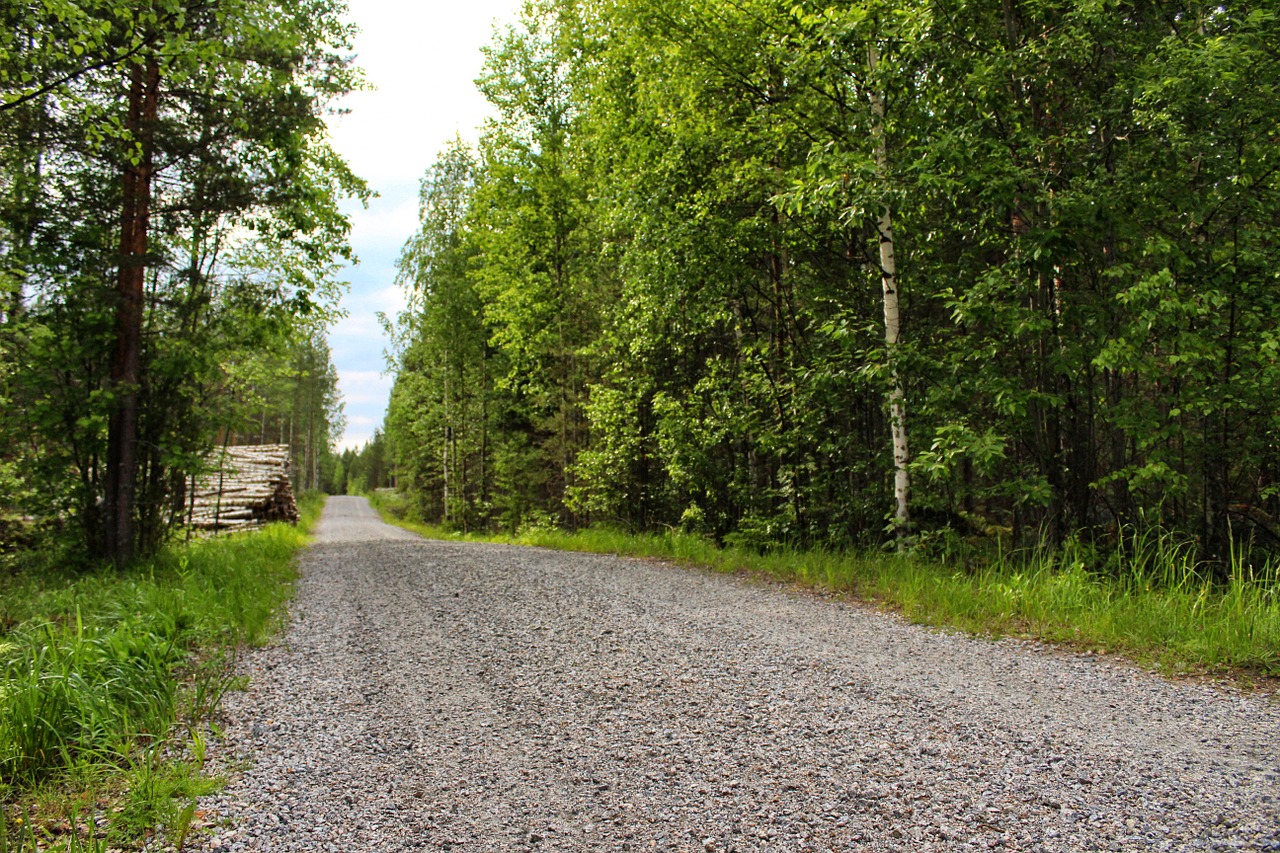 dirt road finland nature free photo