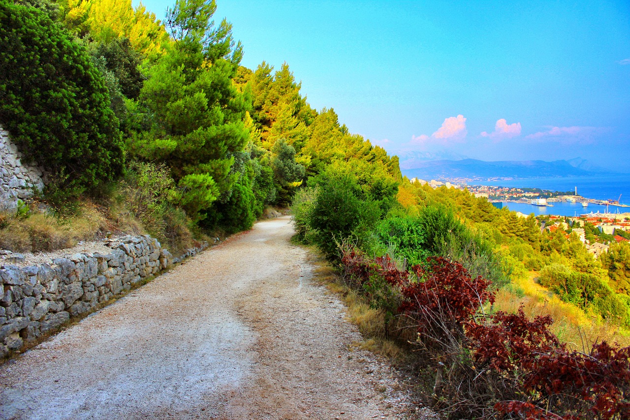 dirt road road dirt free photo