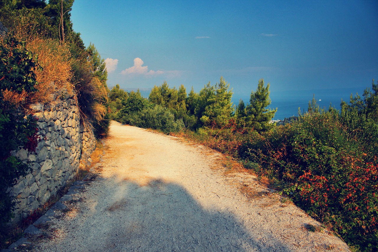 dirt road road dirt free photo