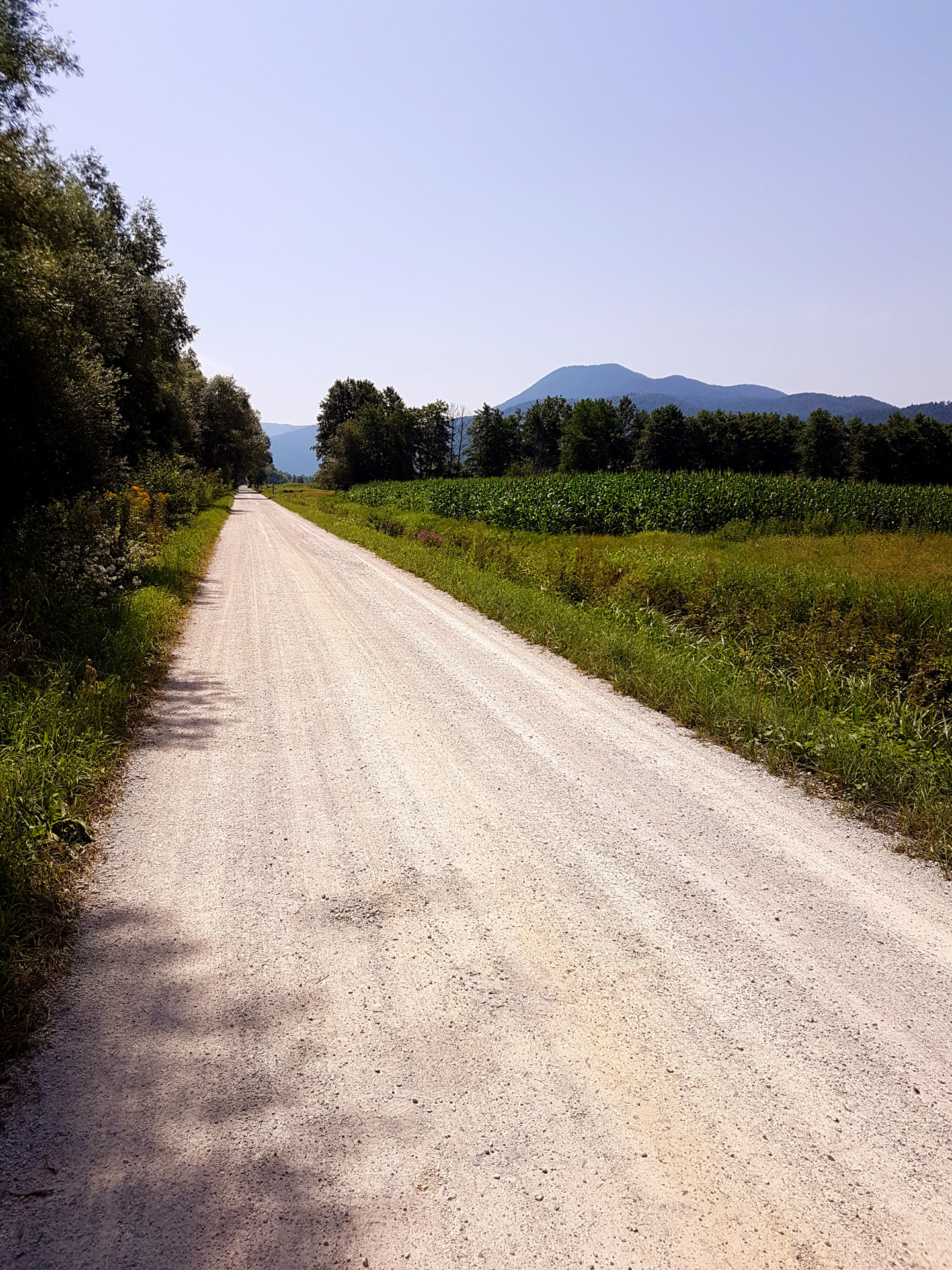 dirt road nature free photo