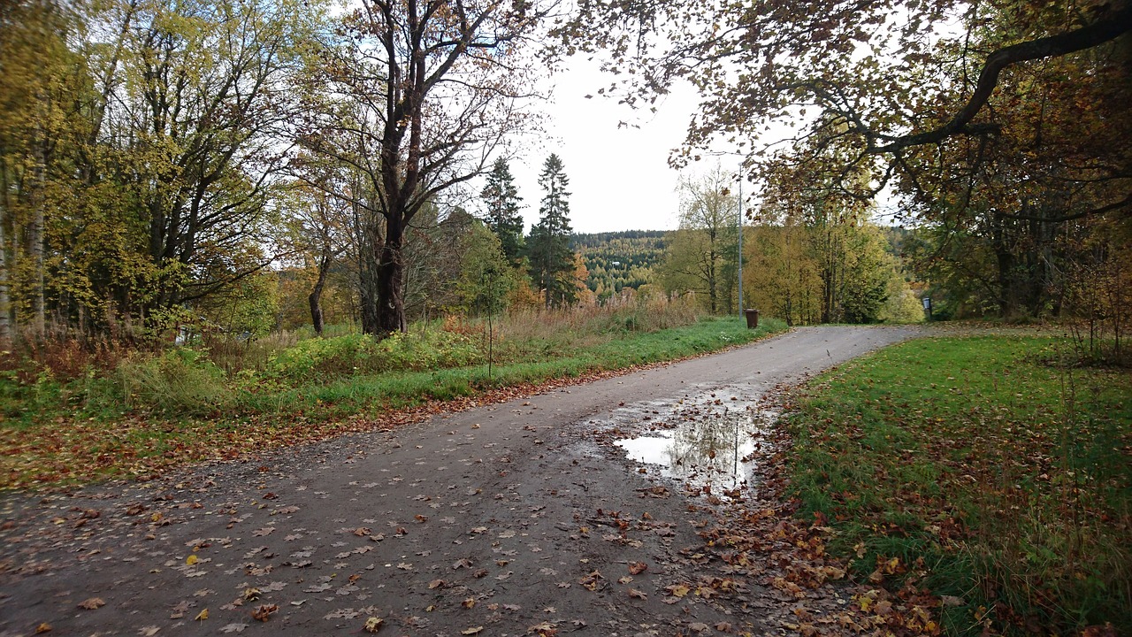 dirt road after the rain puddle free photo