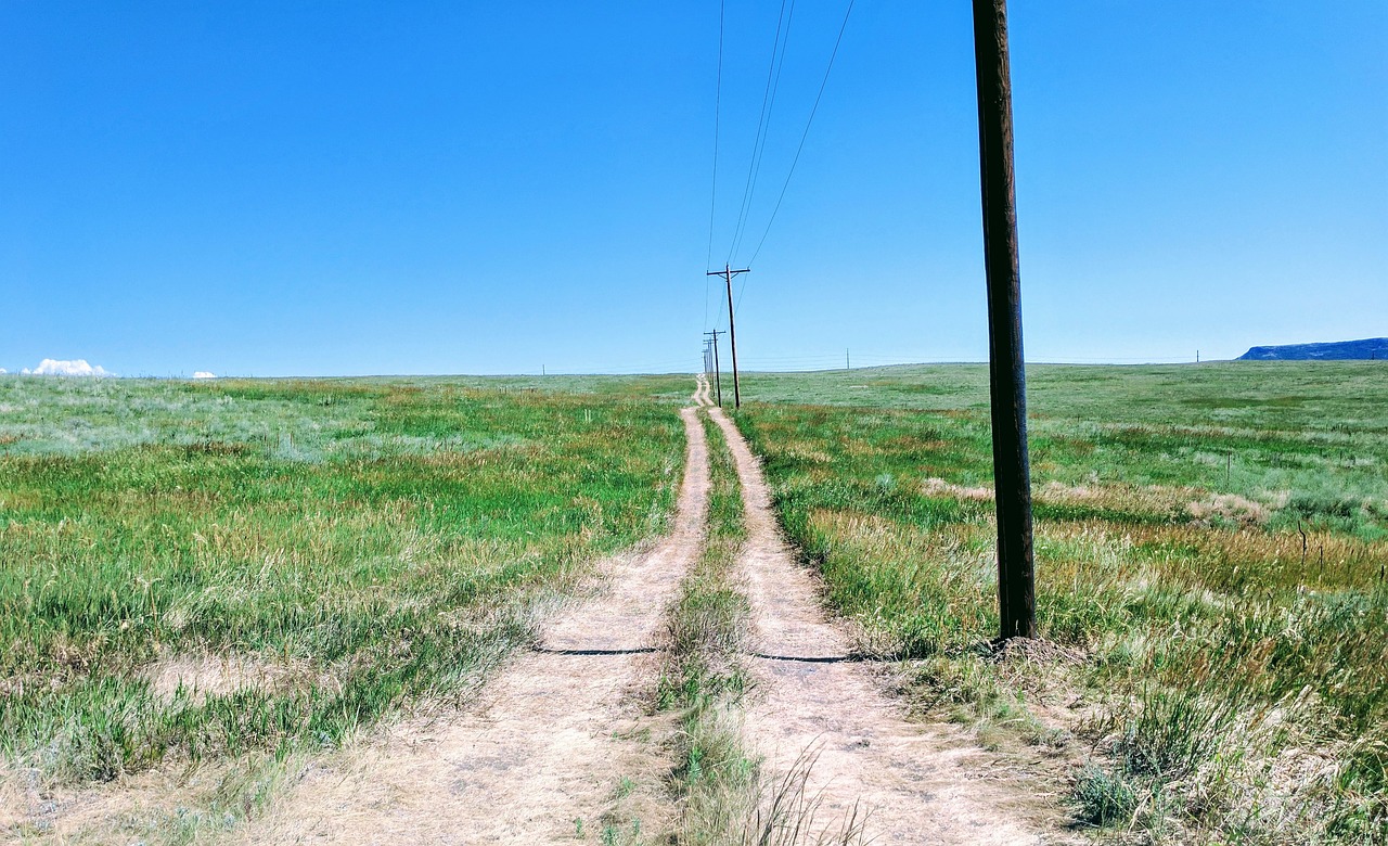 dirt road telephone poles landscape free photo