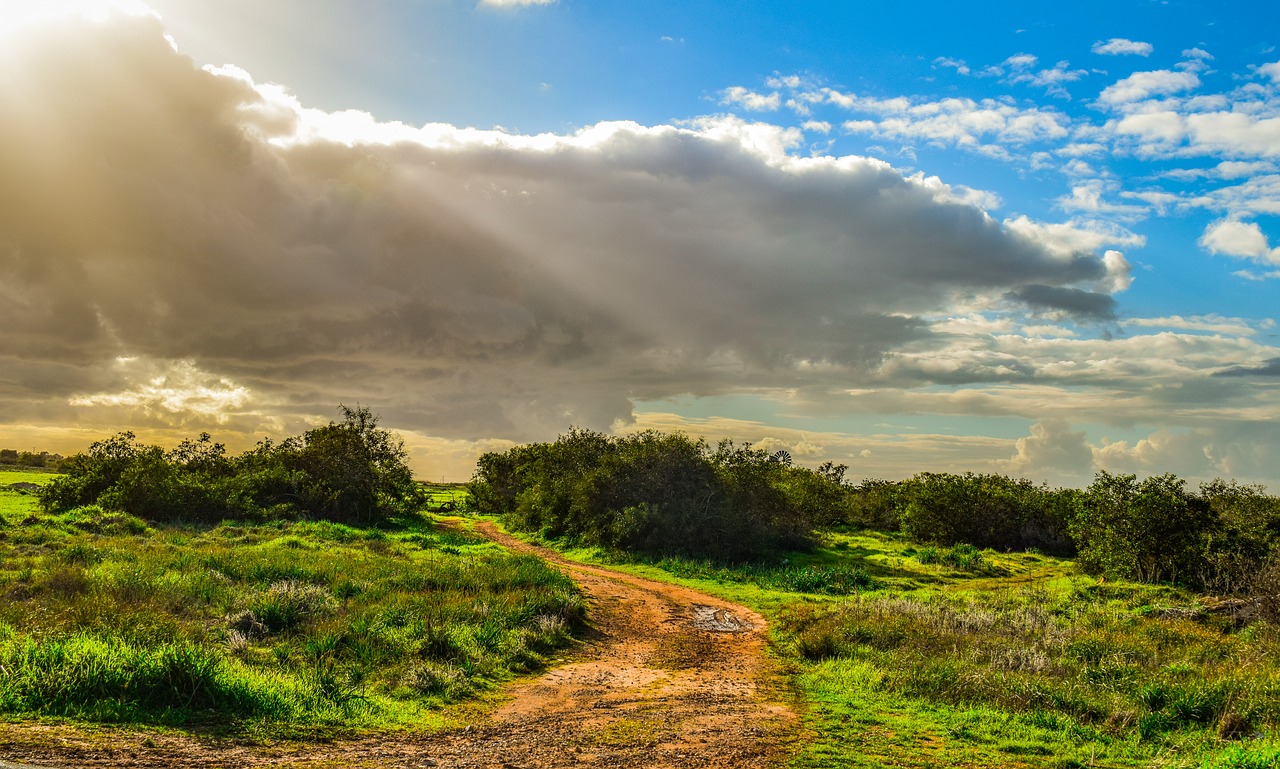 dirt road  countryside  landscape free photo