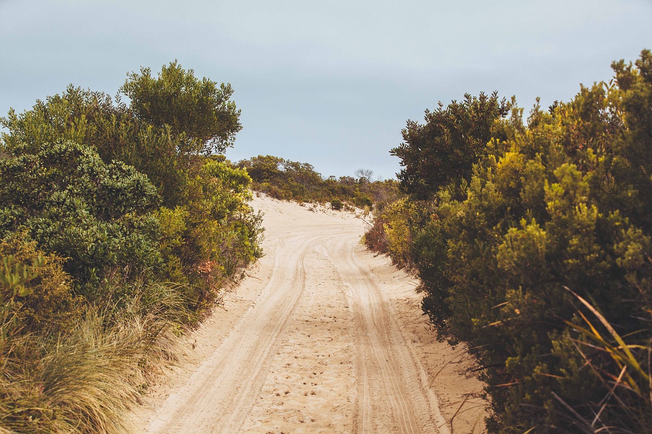 dirt road road journey free photo