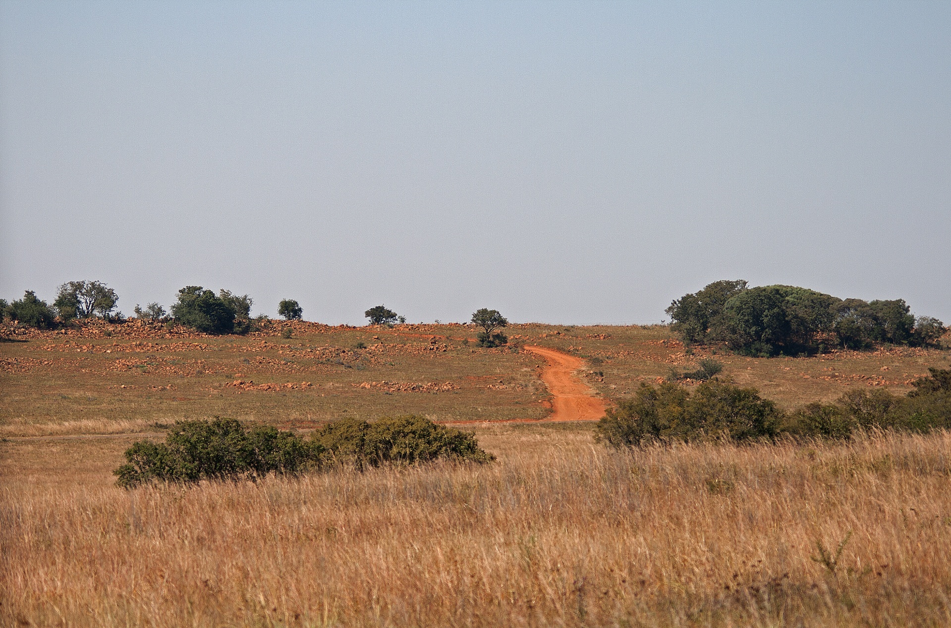 hill road dirt free photo