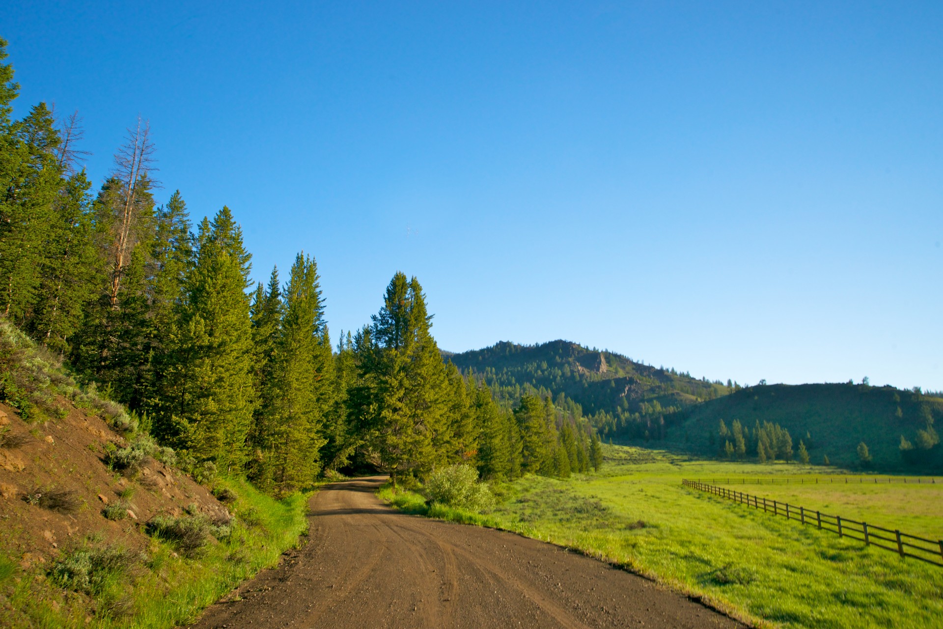 dirt road environment forest free photo