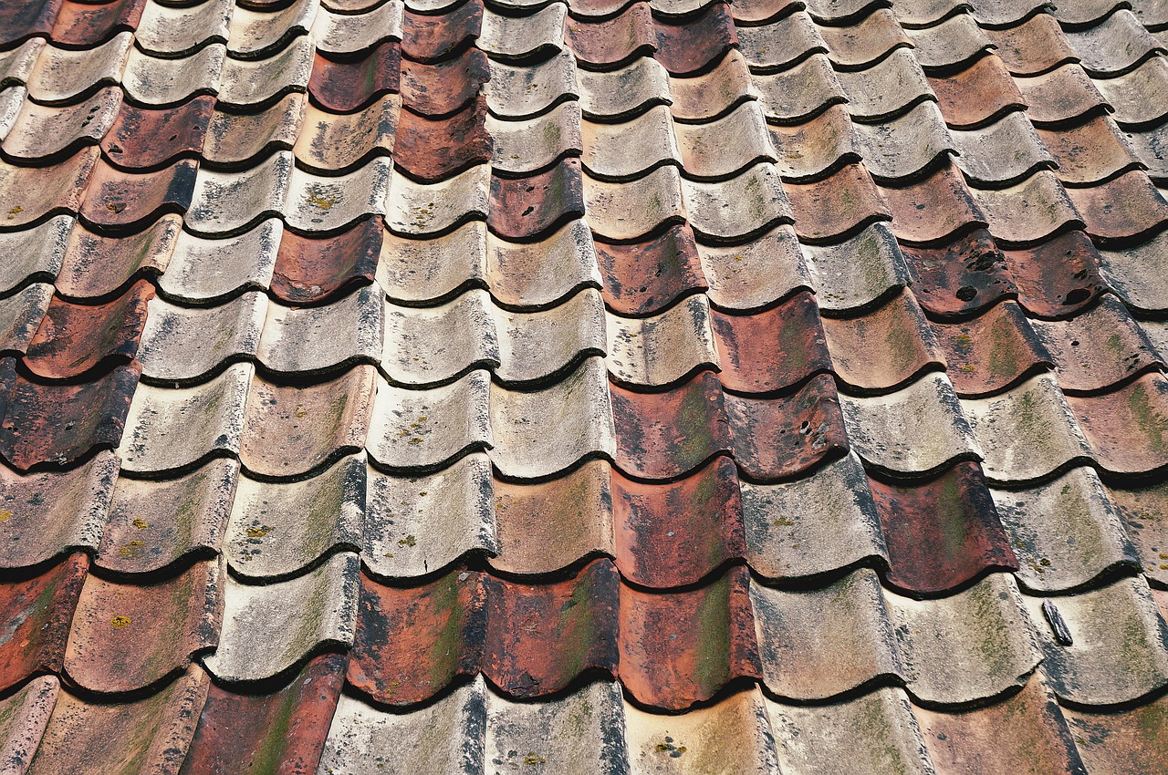 dirty pattern roof free photo