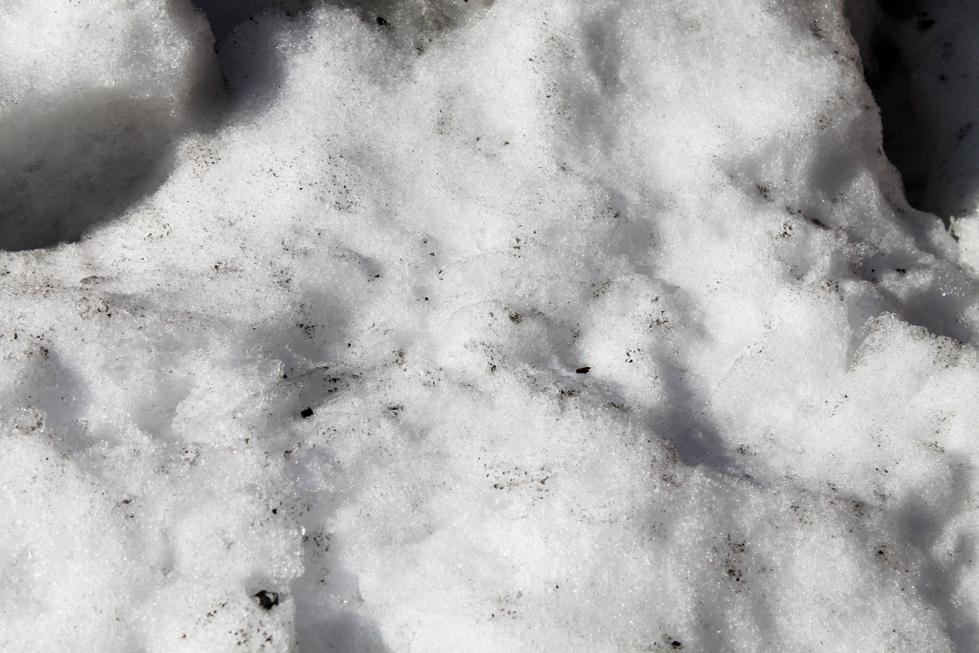 Грязный сугроб. Грязный снег. Грязный снег текстура. Снег текстура. Загрязнение снега.