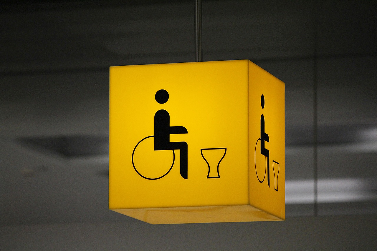 disabled toilet disability wheelchair free photo