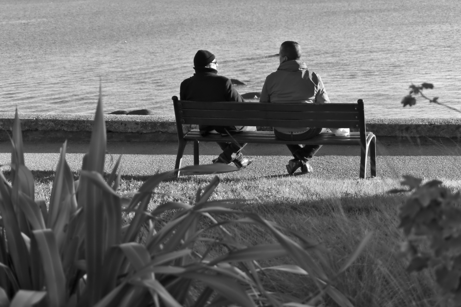 men bench sitting free photo