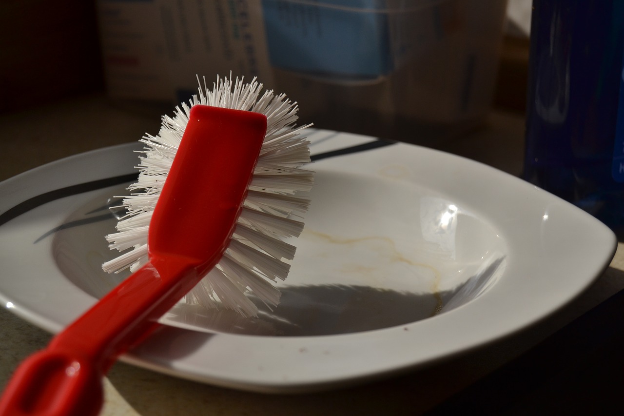 dish cleaning brush housework free photo
