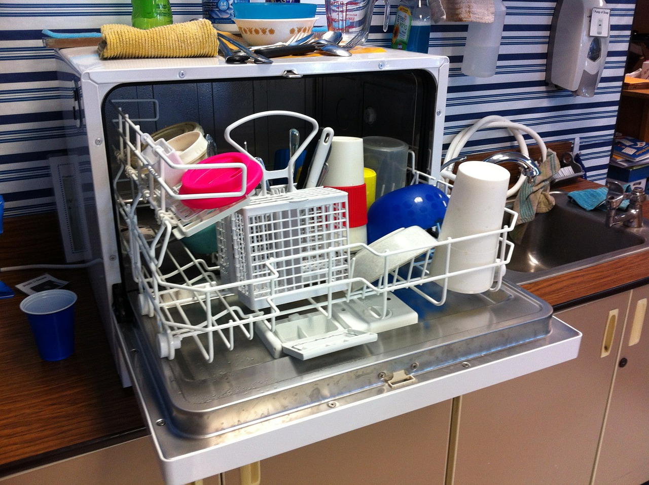 dishwasher clean dishes free photo