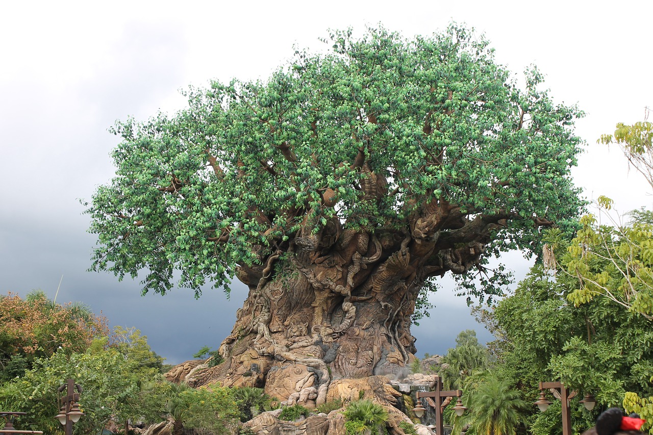 disney tree of life animal kingdom free photo