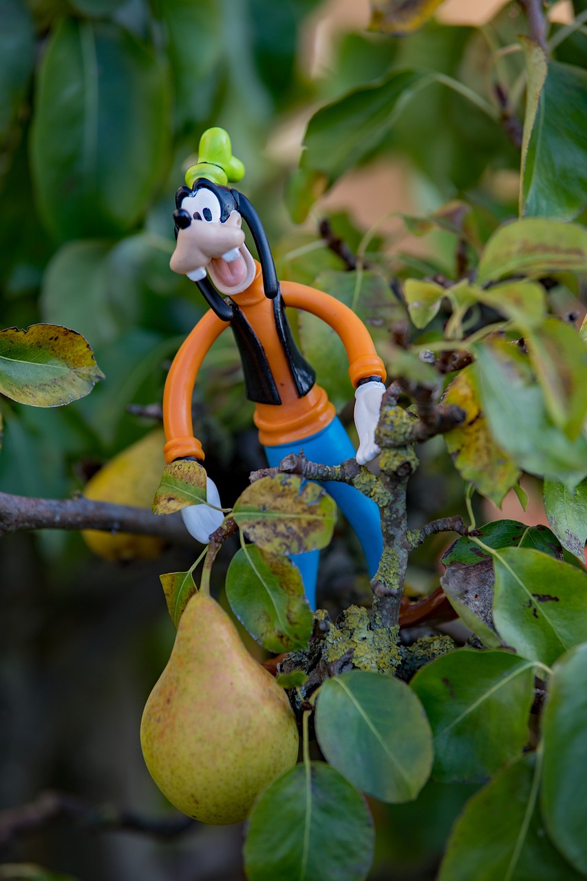 disney  autumn  goofy free photo