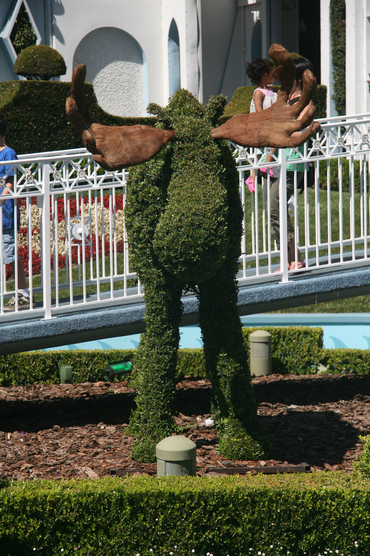 disney moose hedge free photo