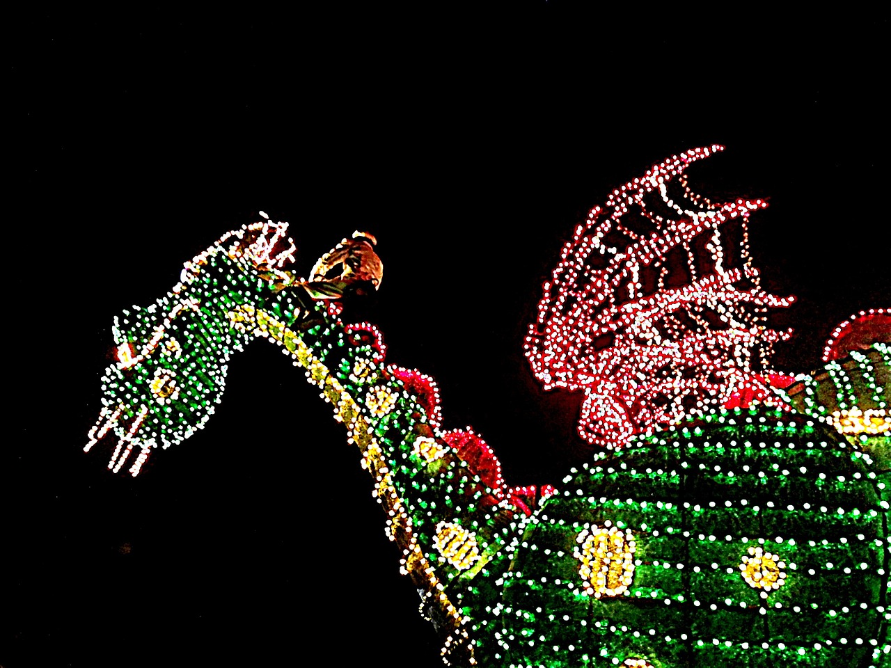 disney world petes dragon light parade free photo