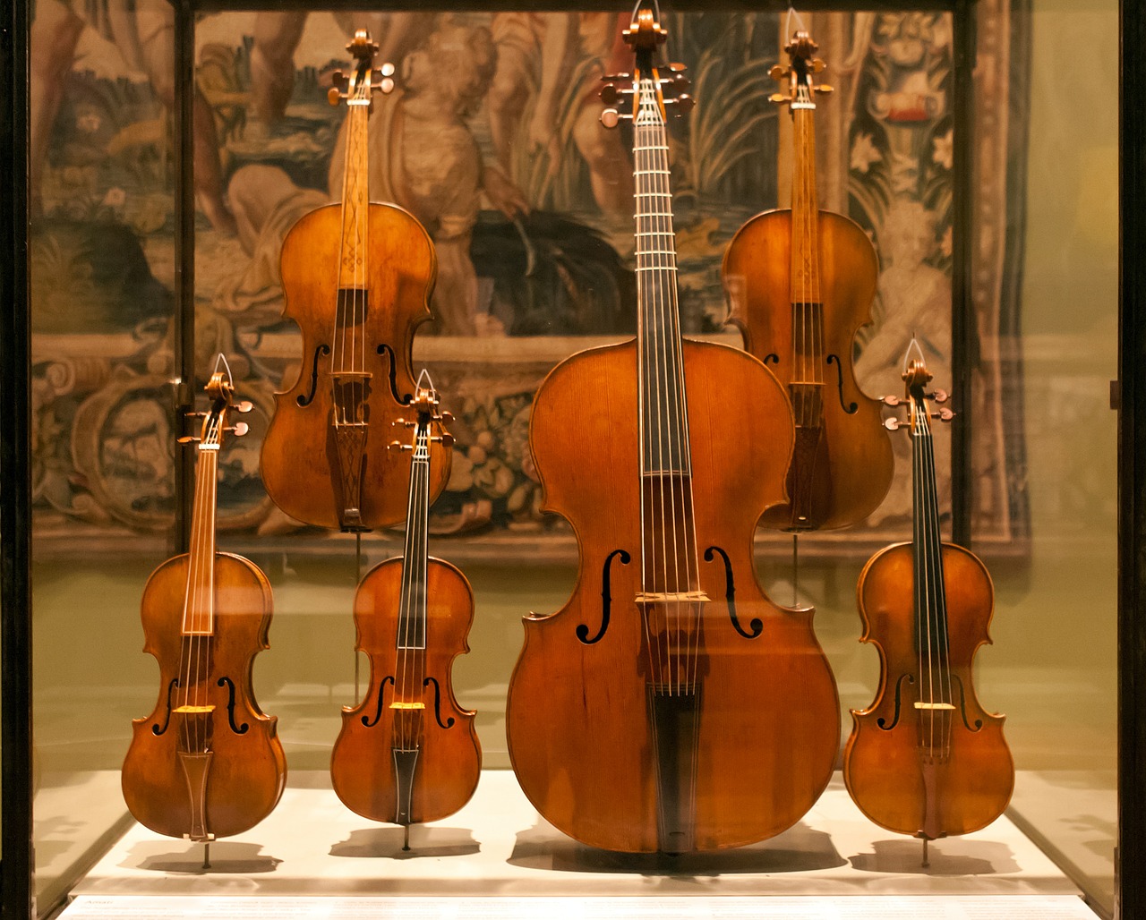 display case violins violas free photo