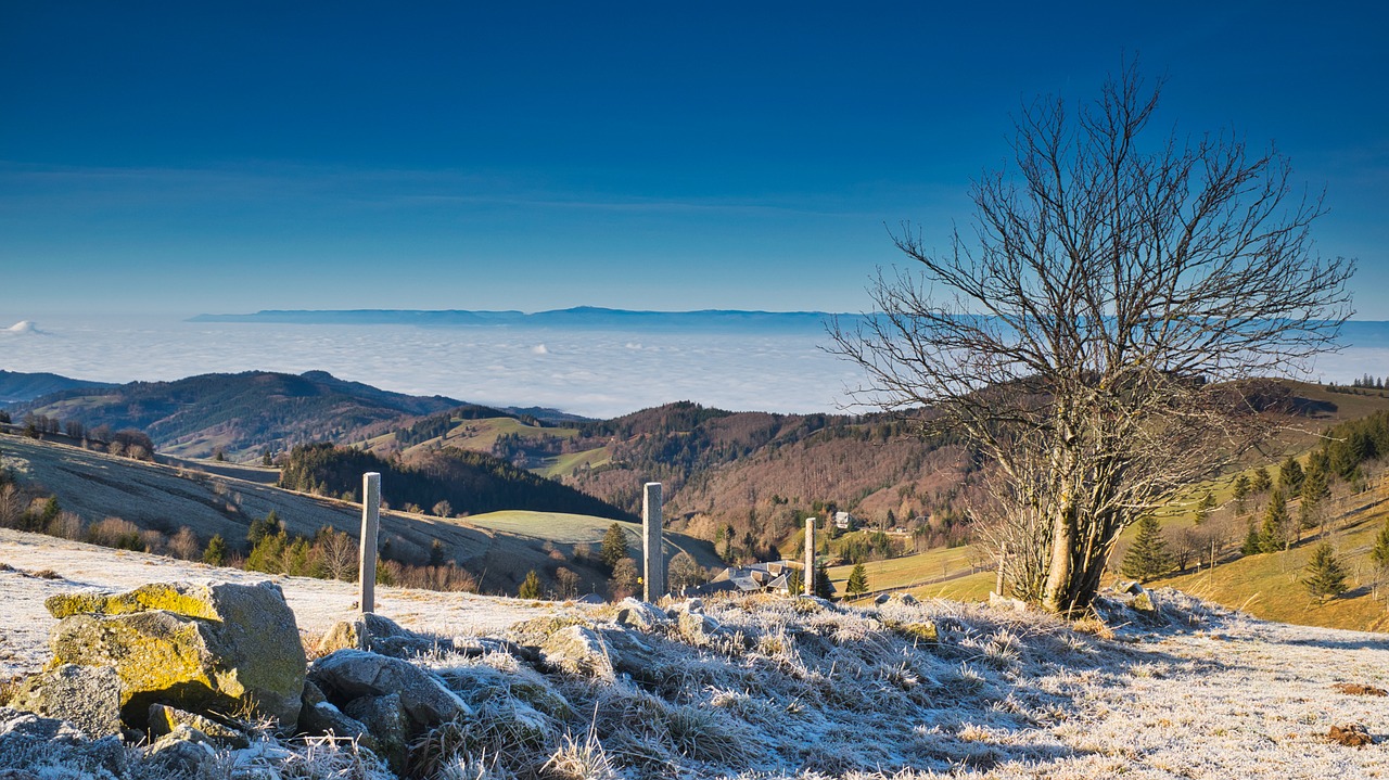 distant view  mountains  landscape free photo