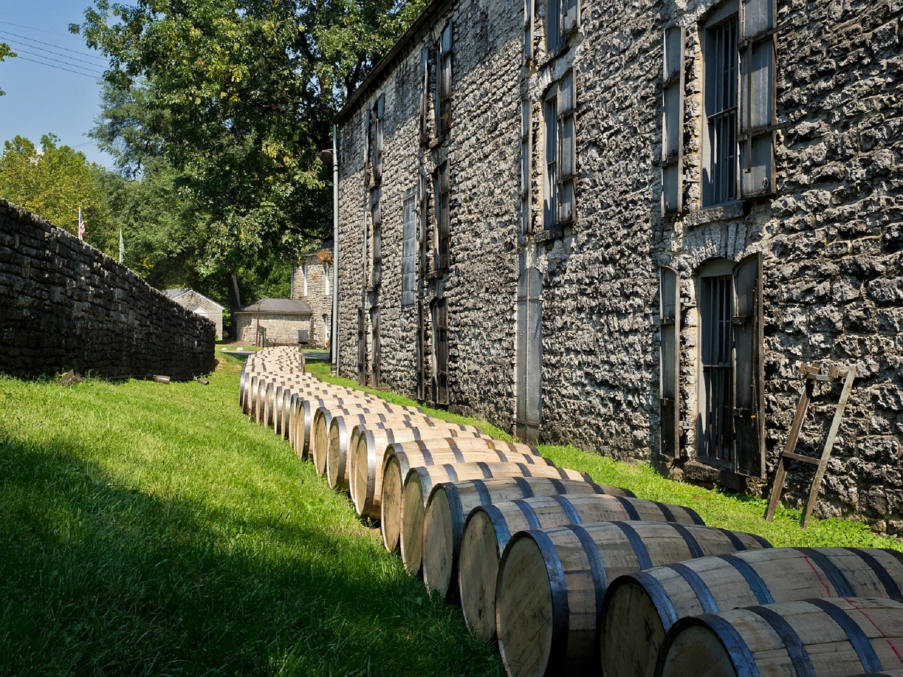 distillery barrels wooden kegs bourbon free photo