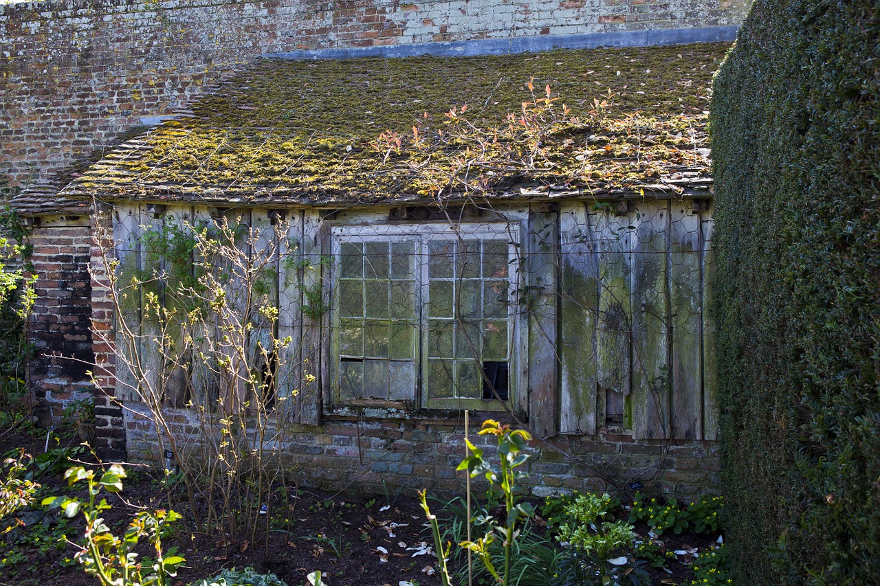 disused potting shed lean-to broken windows free photo