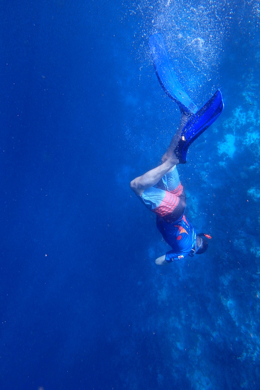 dive snorkel boy free photo