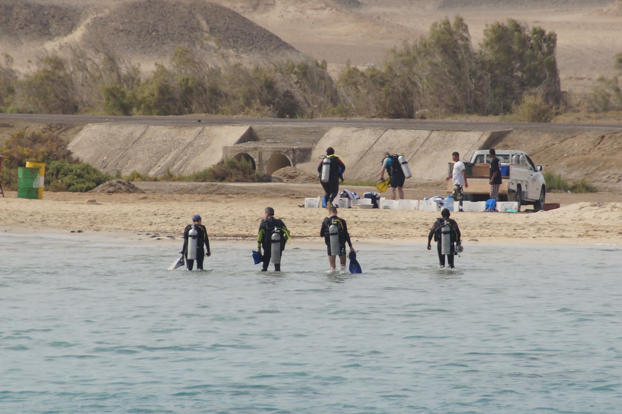 diver sea desert free photo