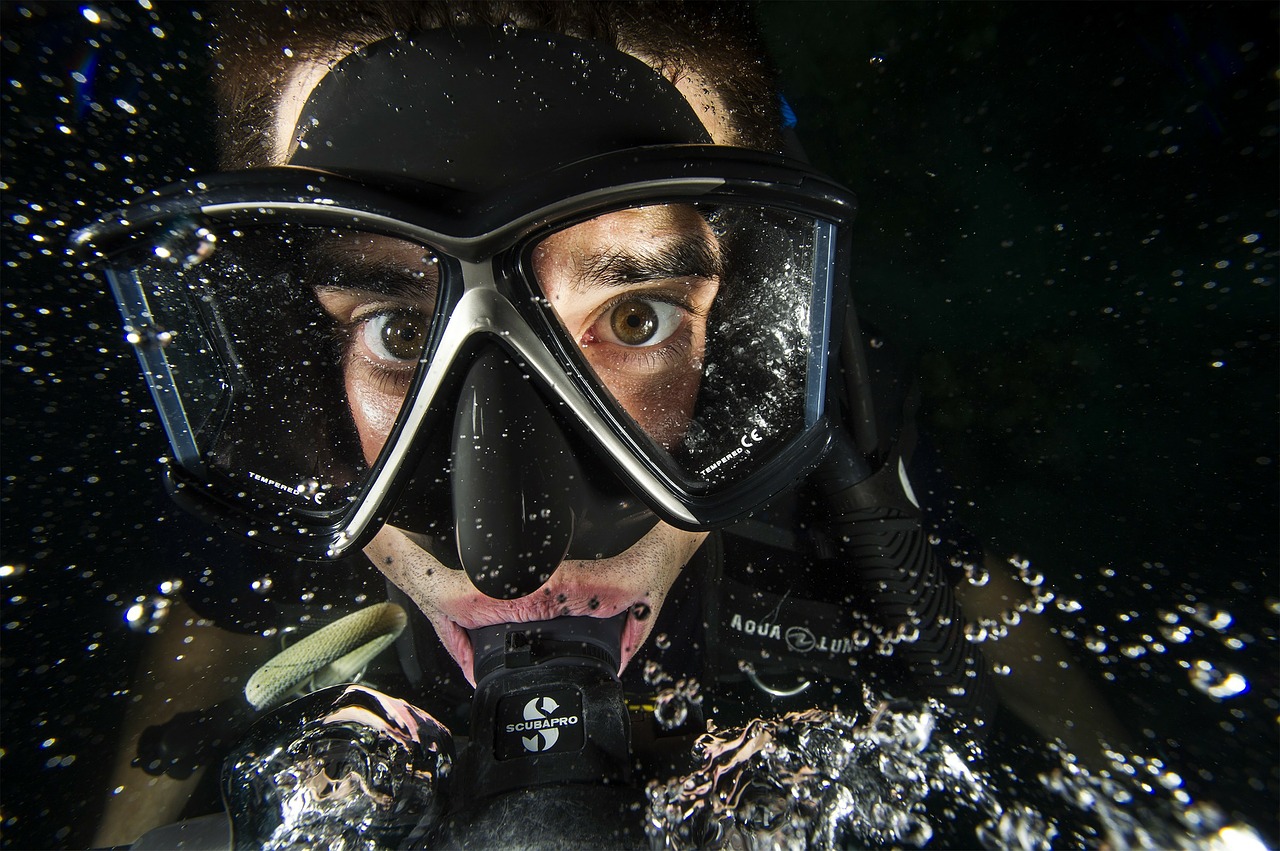 diver man swimmer free photo