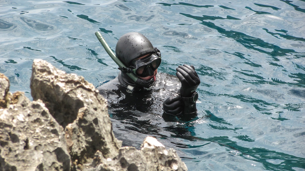 diver diving sea free photo