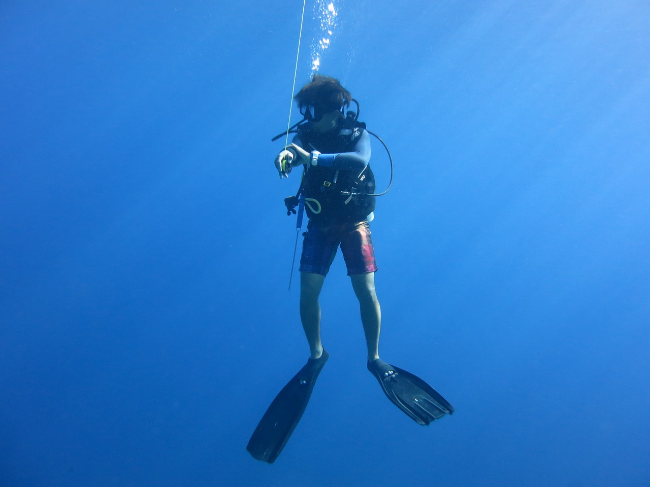 diver scuba blue free photo