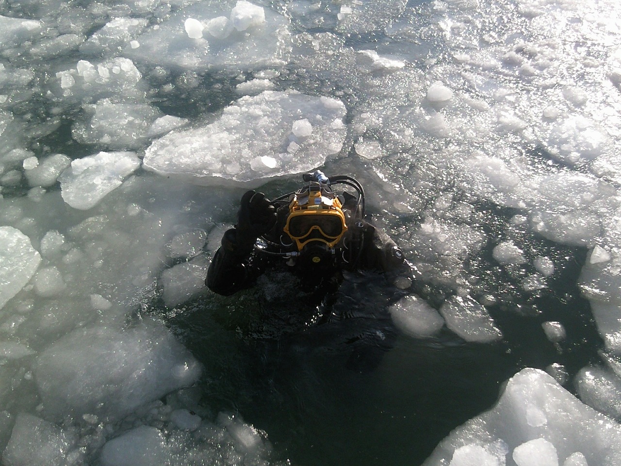 diver ice diving diving free photo