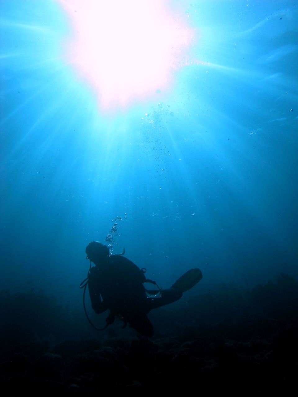 diver in sunlight scuba underwater free photo
