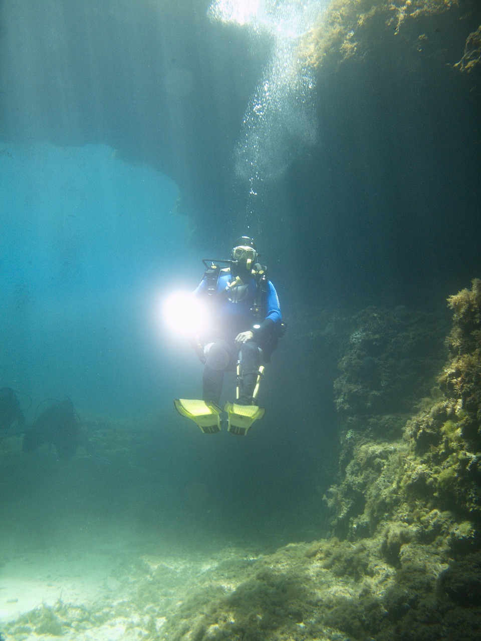 divers underwater malta free photo