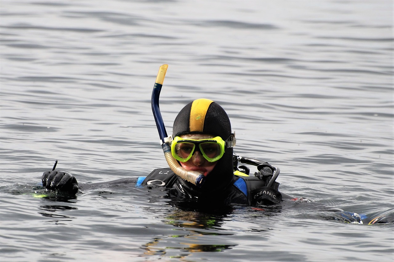 divers  diver  check-out free photo