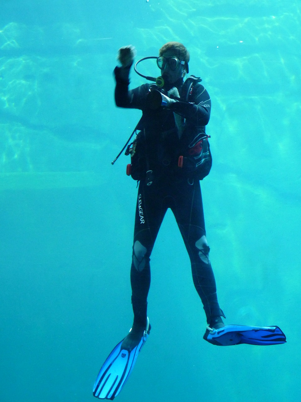 divers diving suit fins free photo