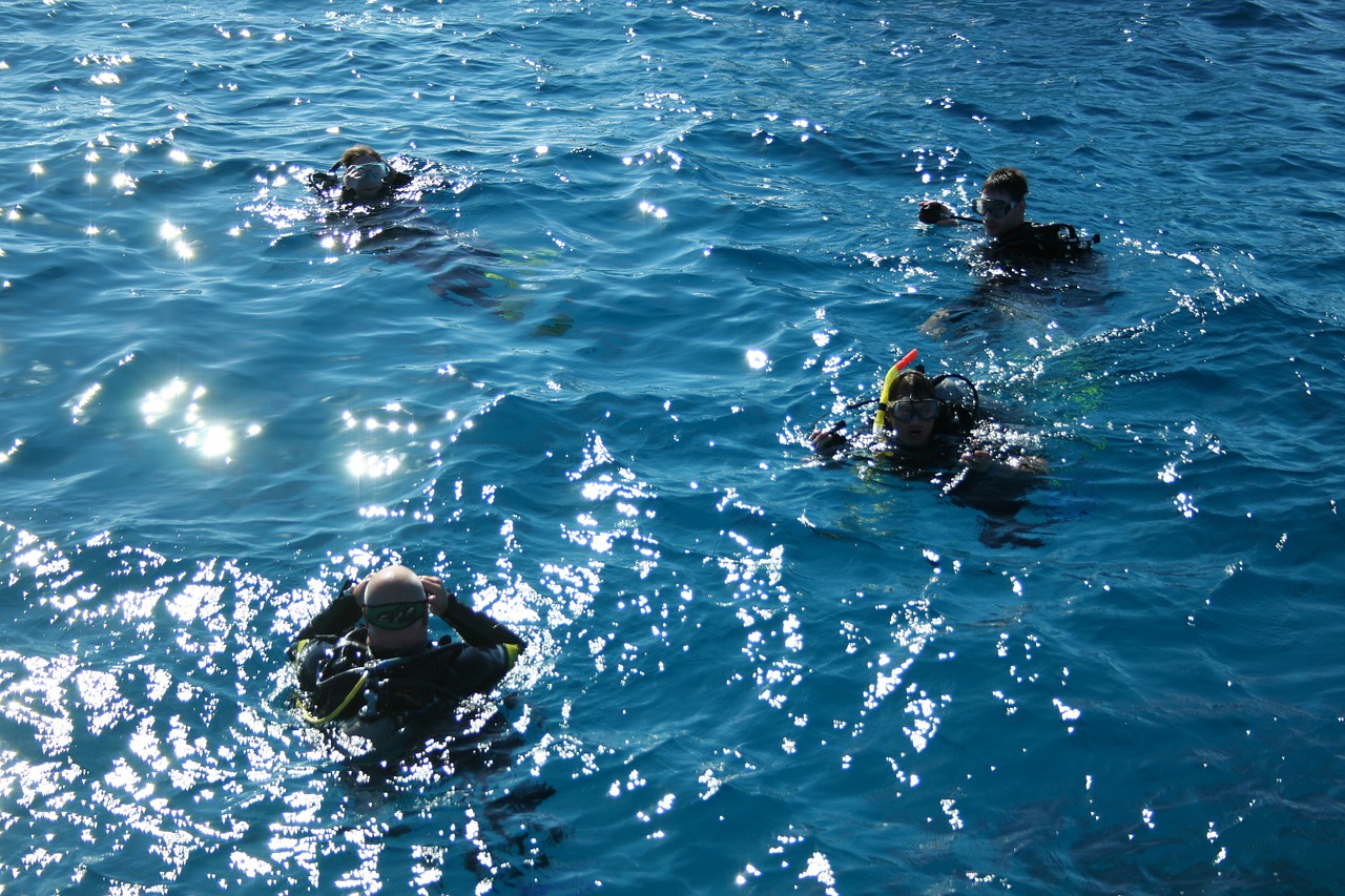 divers ocean blue free photo