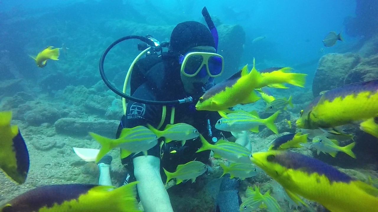 diving paraiba shipwreck free photo