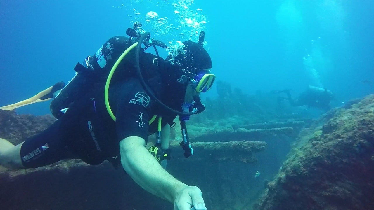 diving paraiba shipwreck free photo