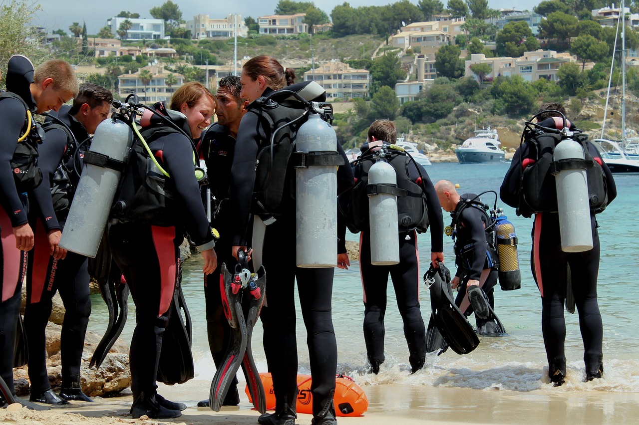 diving diving school beach free photo