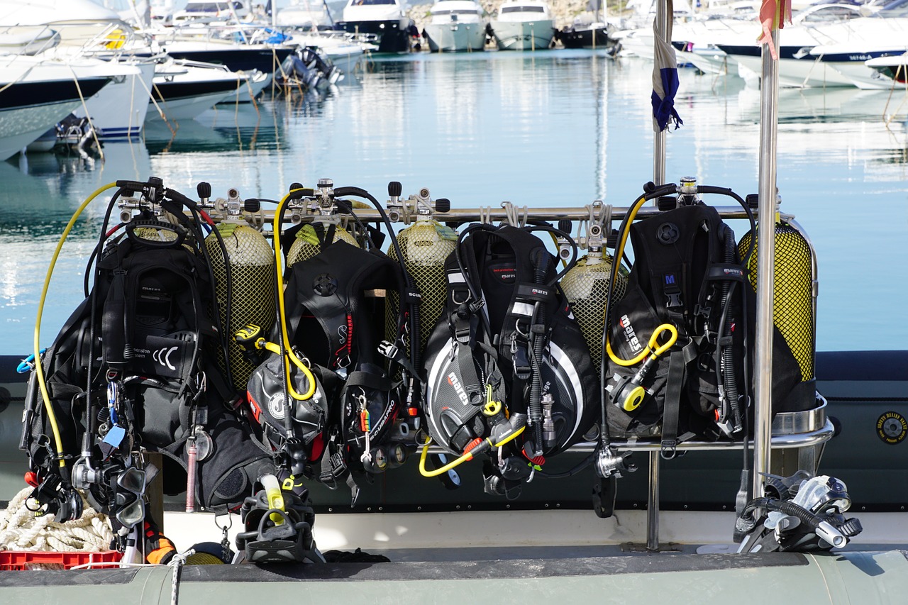 diving port boats free photo