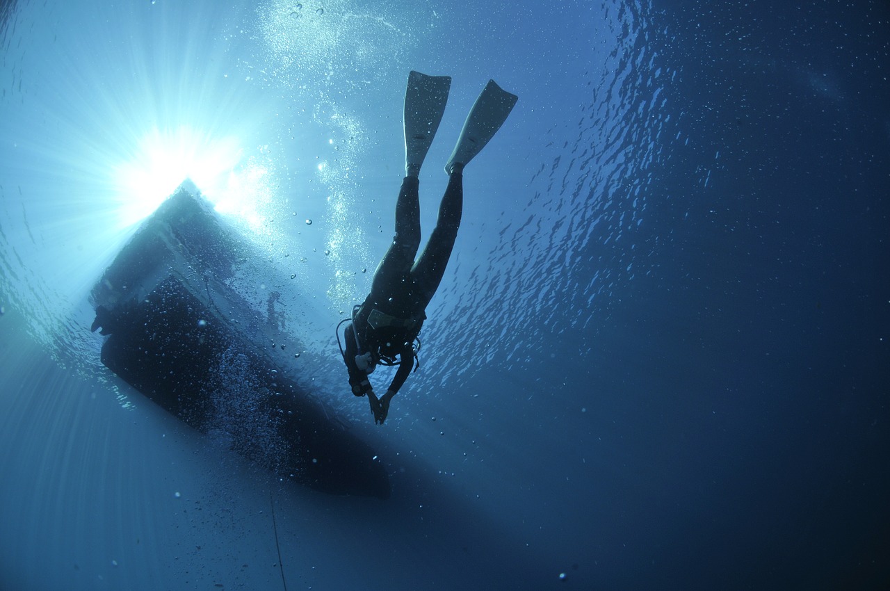 diving divers sea free photo