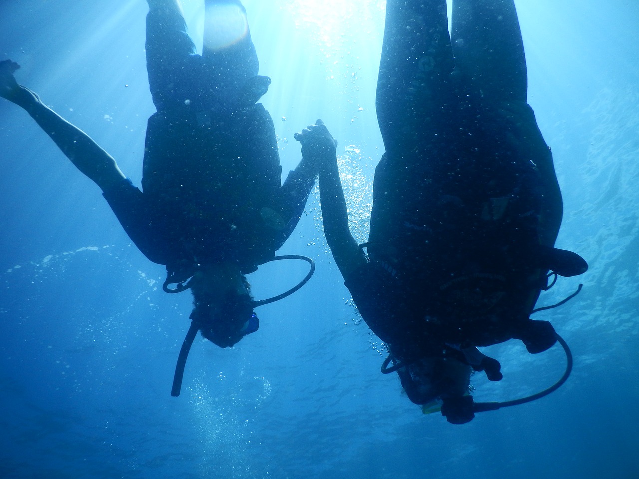 diving divers pair free photo